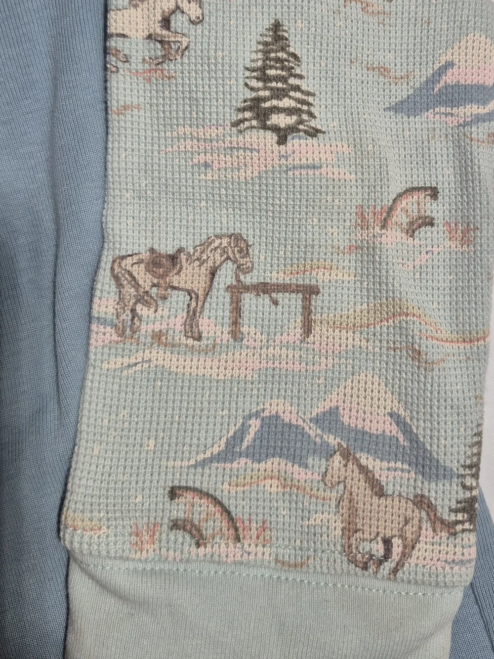 Gymboree Western Outfit From Park City Luxe & Equestrian Club Collection Size 4